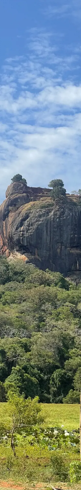 Vom Luxuszelt ins Baumhaus
